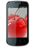Best available price of Celkon A19 in Syria